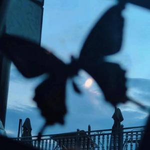 男男被❌到爽🔞无套毒液
